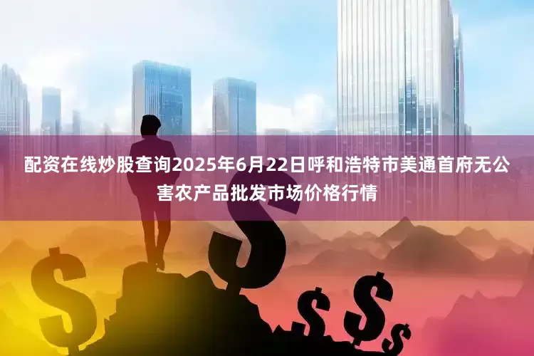 配资在线炒股查询2025年6月22日呼和浩特市美通首府无公害农产品批发市场价格行情
