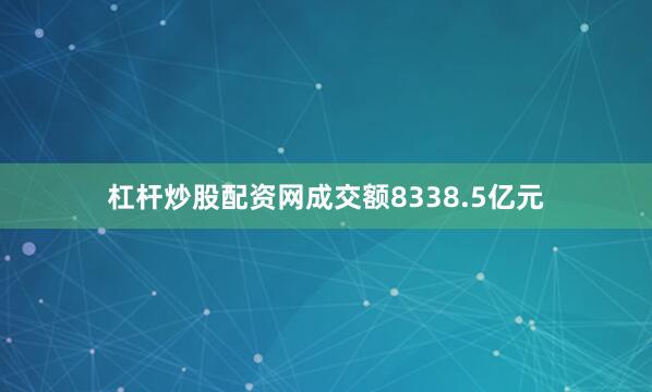 杠杆炒股配资网成交额8338.5亿元