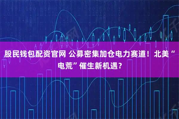股民钱包配资官网 公募密集加仓电力赛道！北美“电荒”催生新机遇？